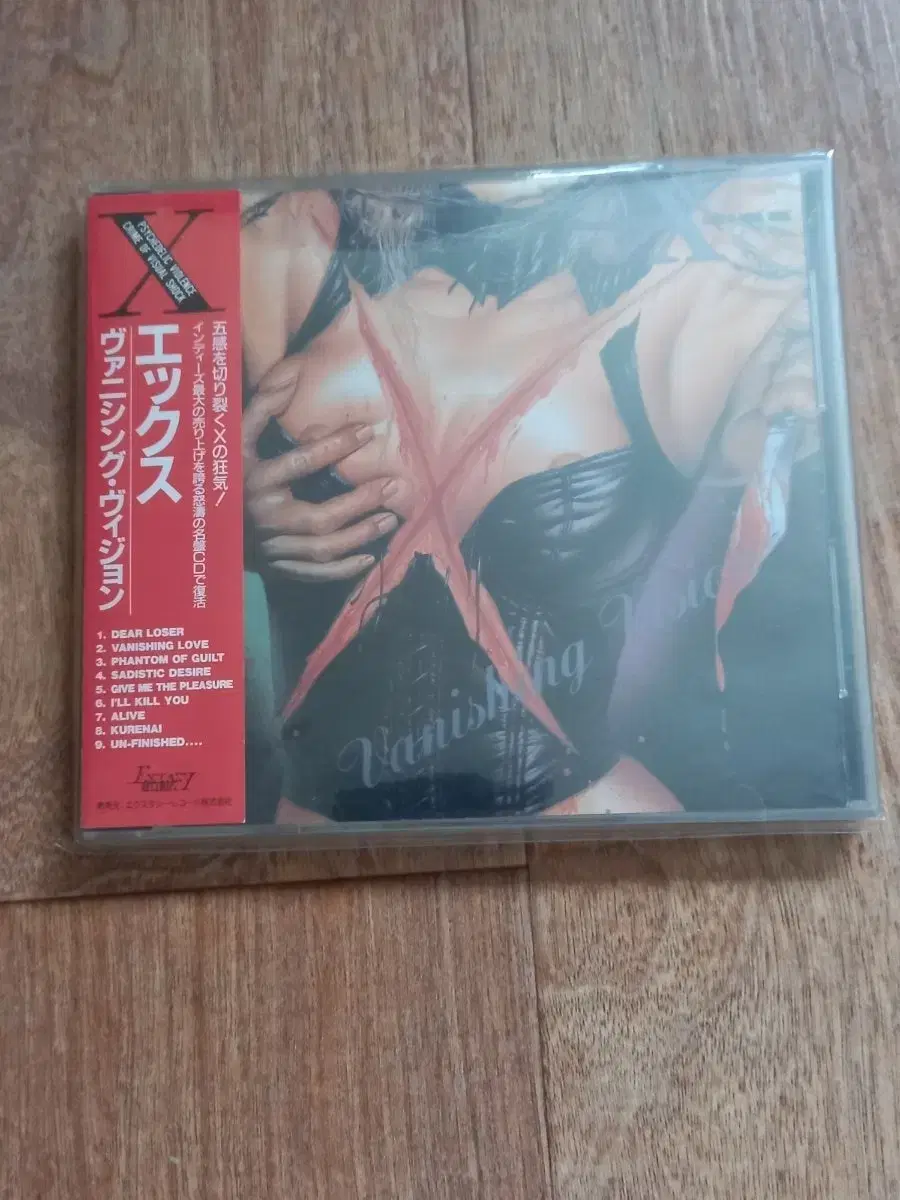 x japan cd 엑스저팬 일본반 시디